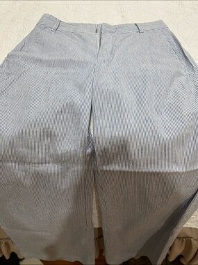 Banana Republic Blue & White Pinstripe Wide Leg Pants